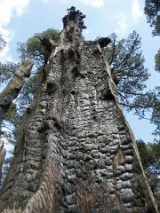 100214_Paso_de_Cortes 072